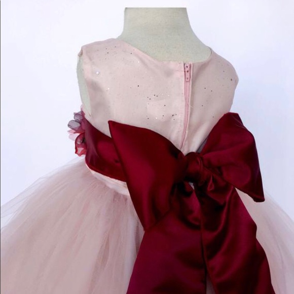 Blush Pink Maroon Sash Girls Dress - Picture 4 of 5